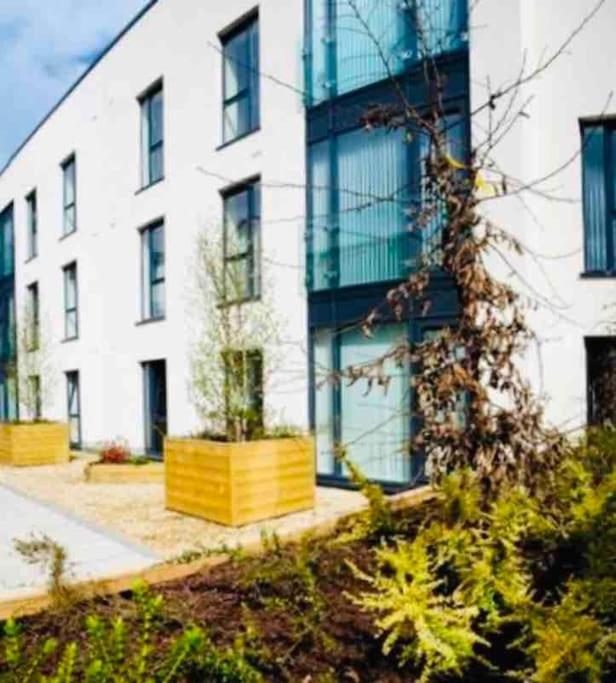 Ormeau Road Stylish Double Bedroom Luxury Apartment Belfast Kültér fotó